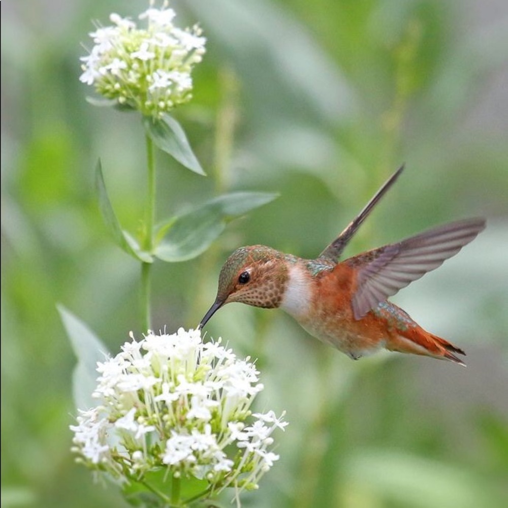 Meet your Posher, Soledad